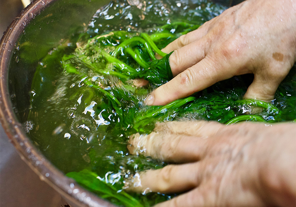 ［２］氷水に浸け、流水でゆすぐ