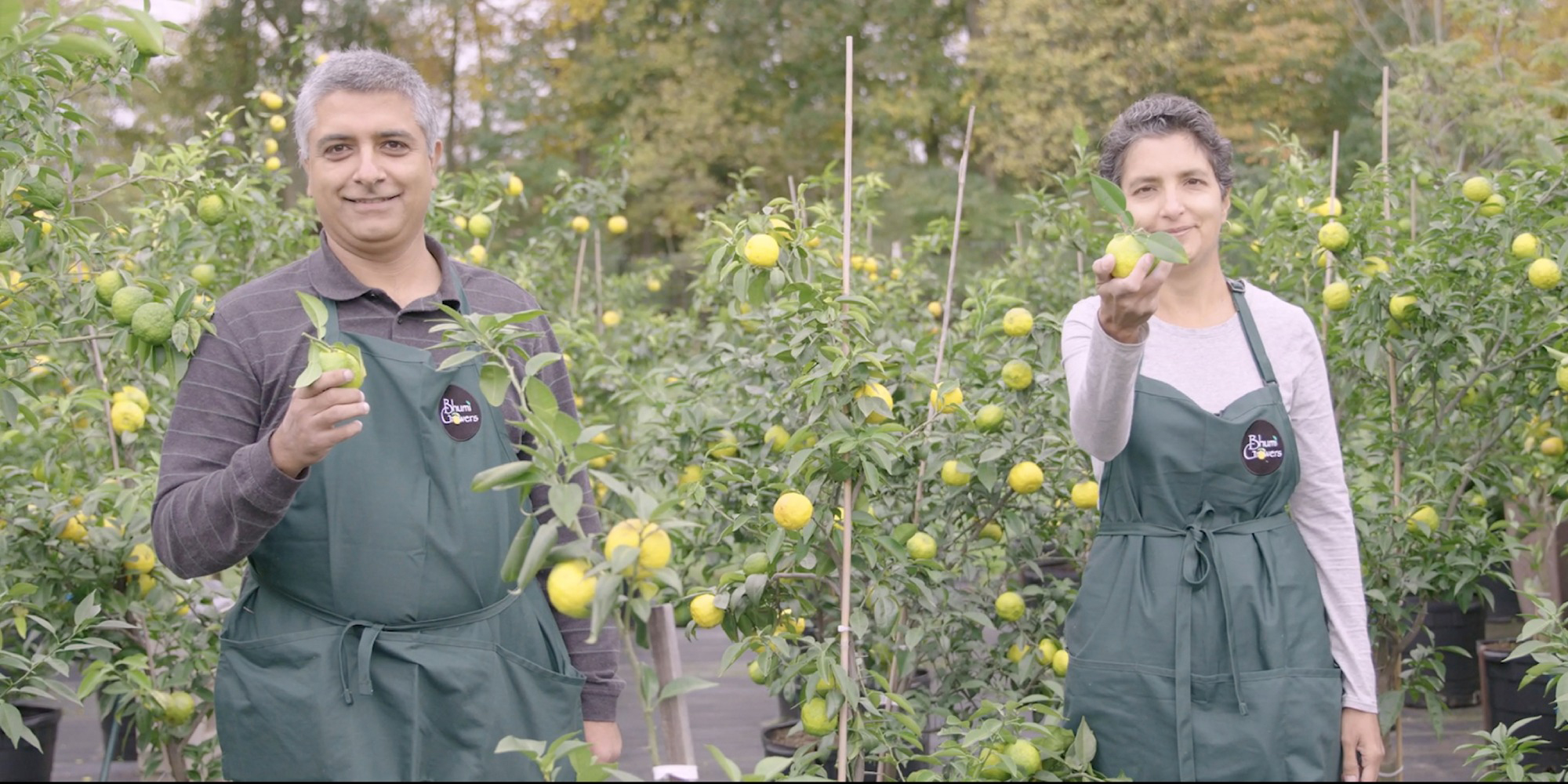 America [New Jersey] はじまりは柚子愛　脱サラ移民のレア柑橘園