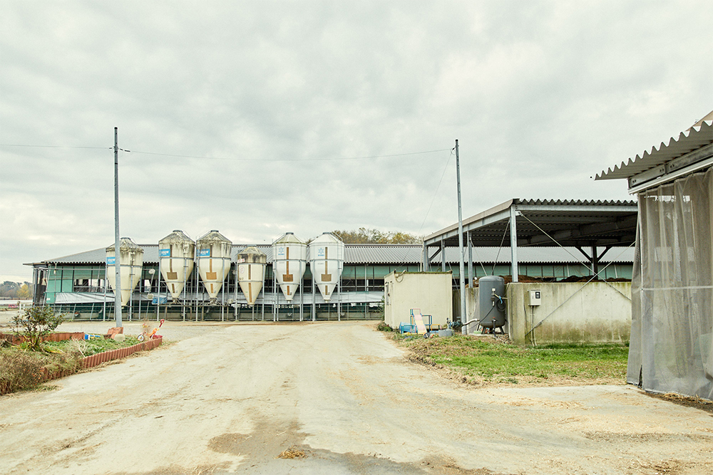 1975年、初代の佐藤宏弥氏が20歳の時、乳用種３頭の肥育からスタート。その後1991年に黒毛和種の肥育へと転換。牛肉の輸入自由化を受けた決断だった。