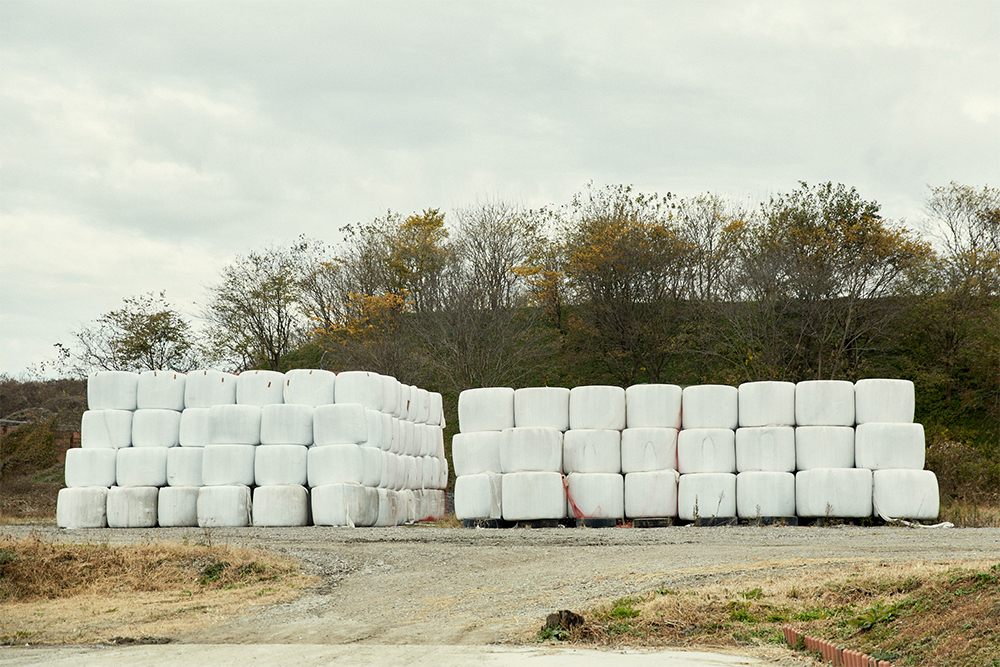 菅生地区では2000年から稲ＷＣＳの生産を開始。佐藤さんたちはいち早く参加し、栽培は耕種農家、収穫とサイレージ作り、水田への堆肥散布は畜産である佐藤さんが分担するという連携。