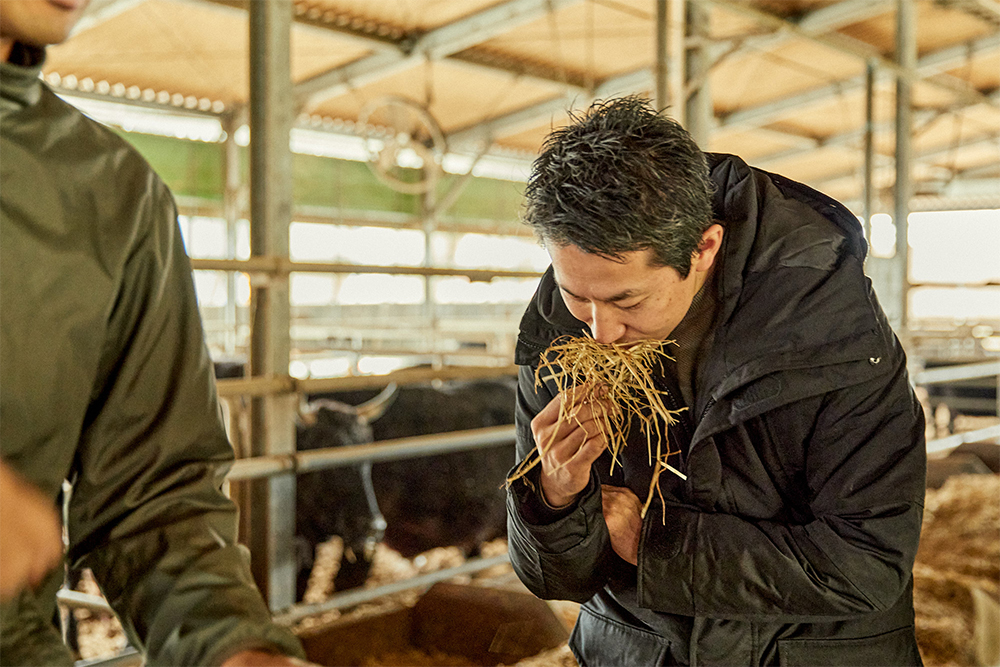 稲ＷＣＳを採用すると、粗飼料（そしりょう）を確保できることに加え、水田でありながら比較的多くの堆肥を投入できる。このため、ドリームファームの堆肥は牧草畑と飼料稲収穫後の散布で処理できている。