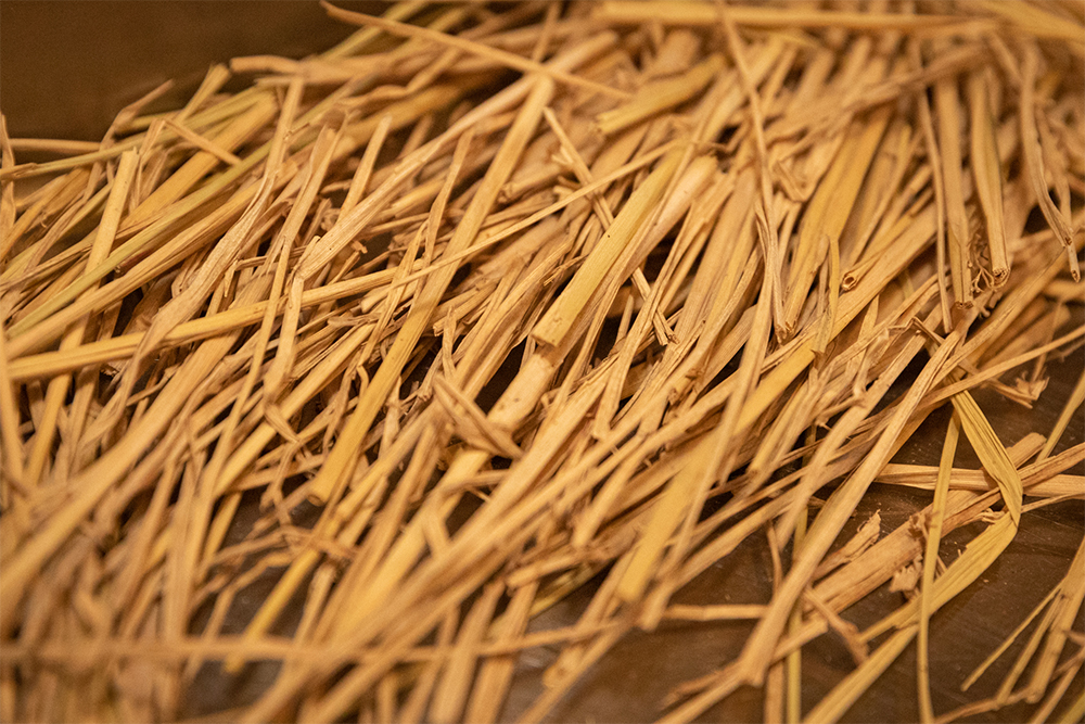 稲藁を使うのは、水田で牛を放牧するドリームファームの取り組みにインスピレーションを受けて。