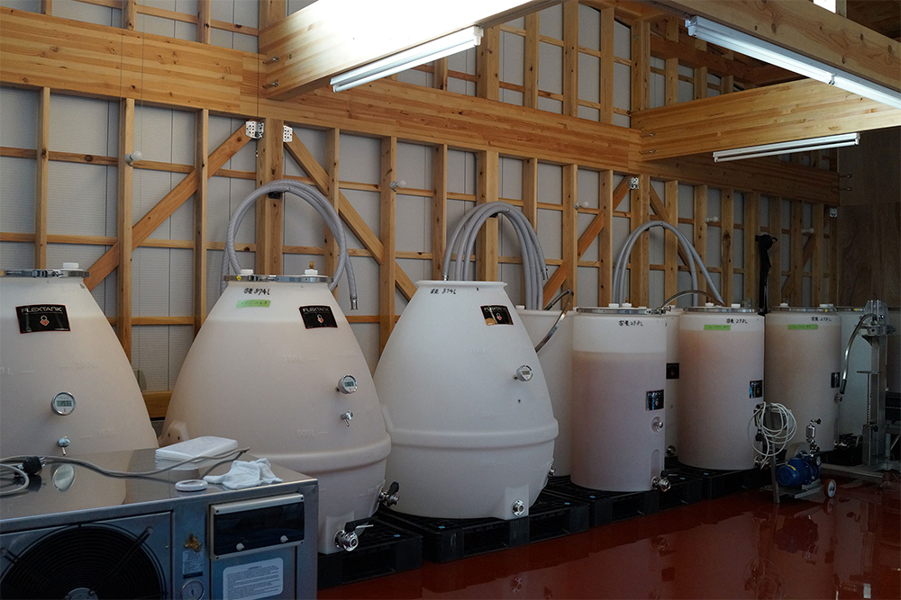 少人数でも扱いやすく、好ましい発酵環境が望める軽くて丈夫な卵型の強化ポリエチレン製タンクを採用。発酵中は勢いよくガスが発生し、対流している様子が透けて見える。