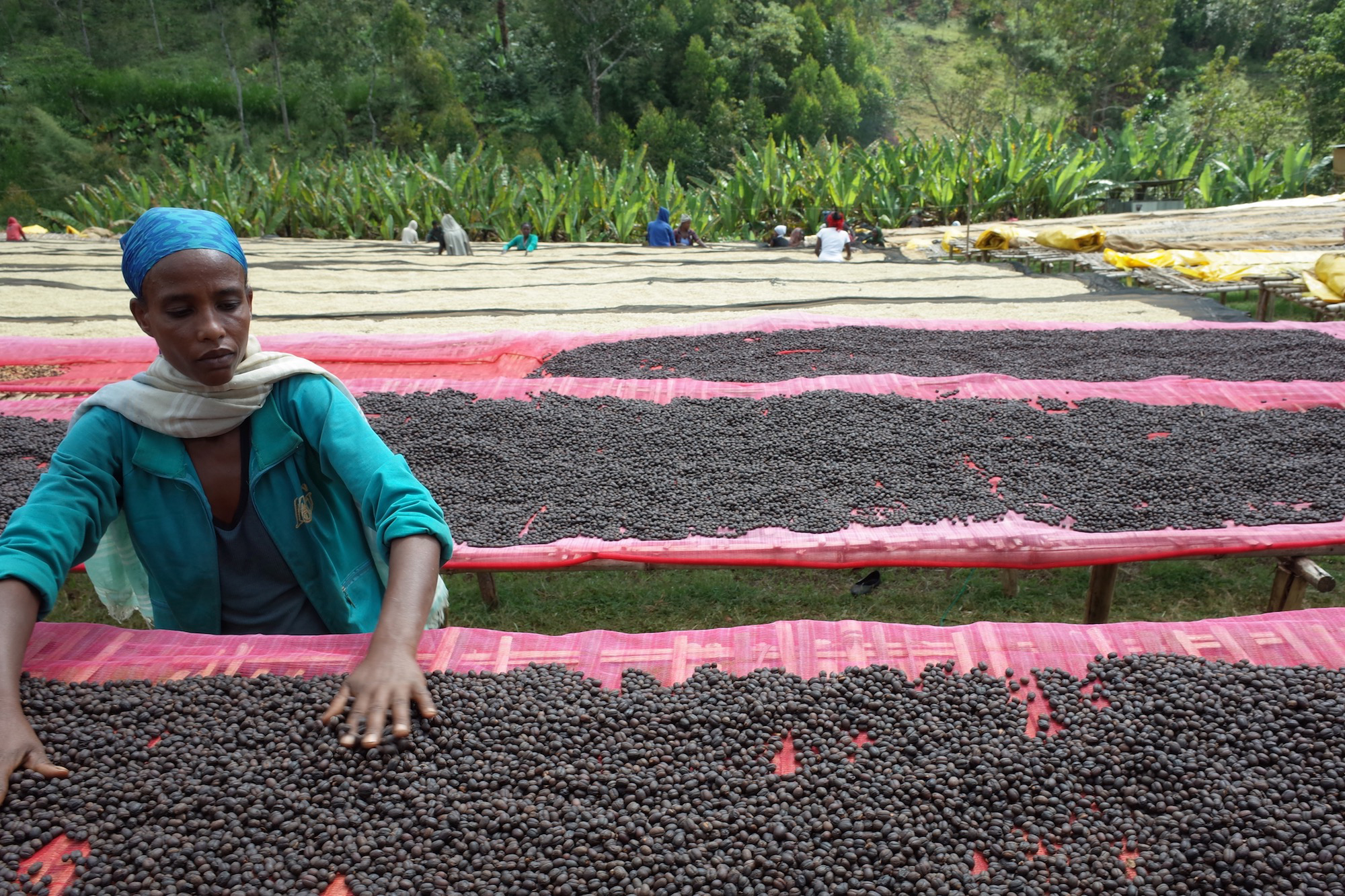 モカに惹かれて 蕪木祐介さん連載「嗜好品の役割」第10回