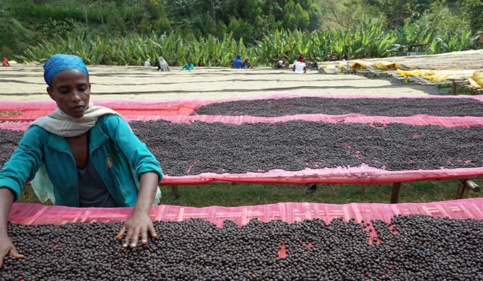 モカに惹かれて