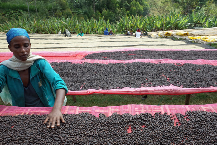 モカに惹かれて