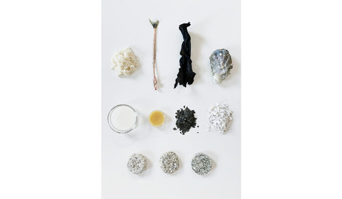 牡蠣の殻や魚の骨を、家具や小物に再生するプロジェクト