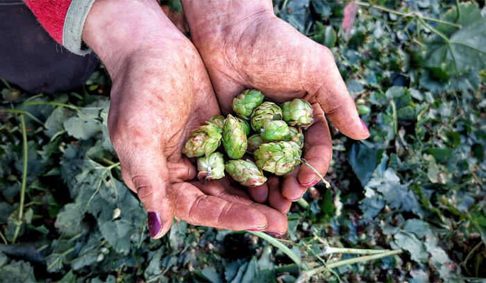 長い目で自然と共生するビール造り