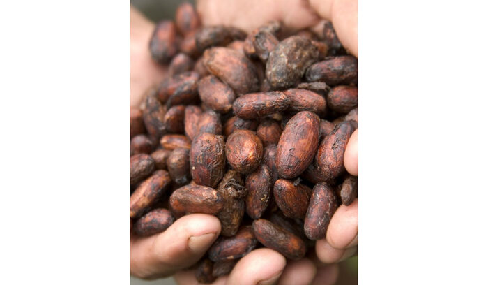 農園から未来を創る。オーガニック・フェアトレードチョコレート「KAOKA」のタブレットが数量限定発売