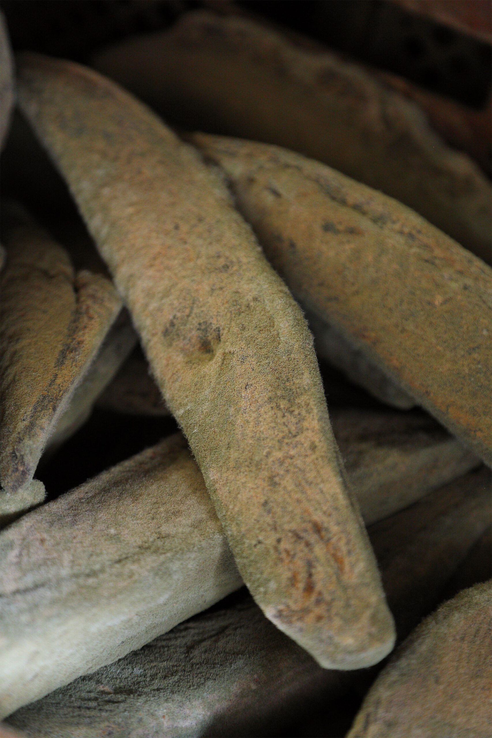 ようこそ発酵蔵へ【鰹節　Katsuobushi】 静岡・焼津「山七」