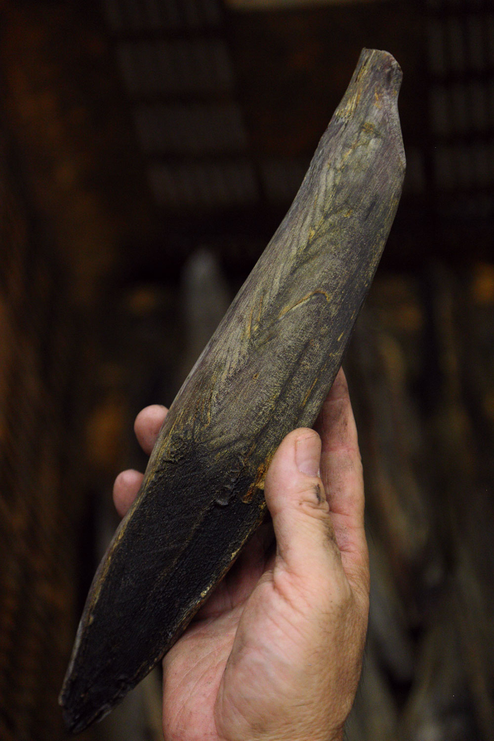 全国の統一基準である「標準型」に美しく整えることも大切。