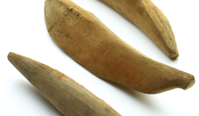 ようこそ発酵蔵へ【鰹節　Katsuobushi】