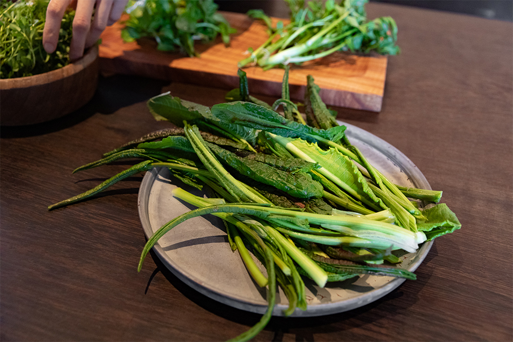 多摩川や野川の川べりで採集した野草。ノビル、ギシギシ、クレソンなど。よく洗って掃除すると見事な食材に。