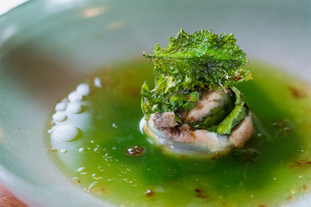 クロダイの燻製、自生からし菜のピュレと魚のだしのソース、からし菜のフリット、フキノトウ風味の鶏オイル