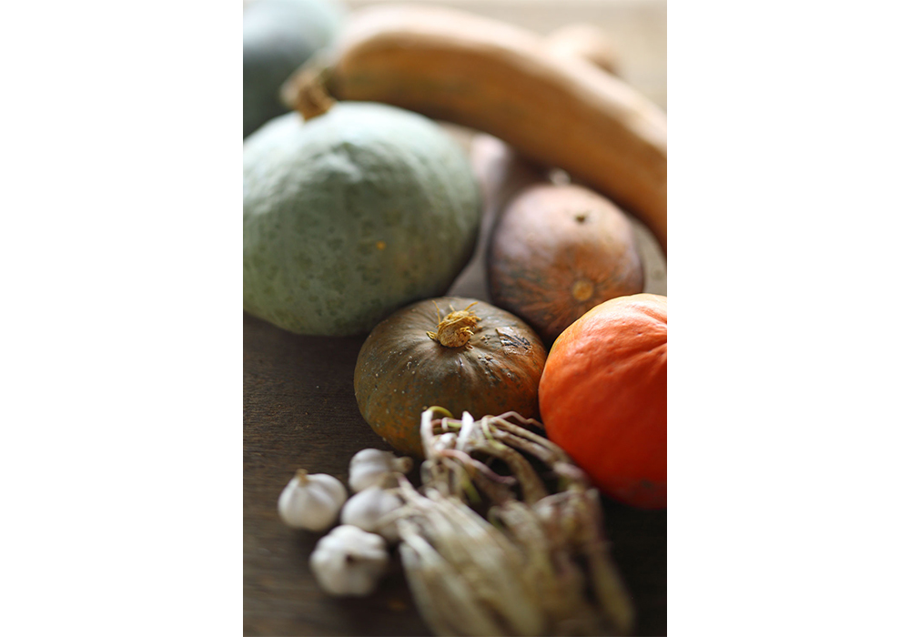 緑豊かな畑で育てる野菜たち。周囲の生態系を崩さないよう栽培された、力強い味がある。