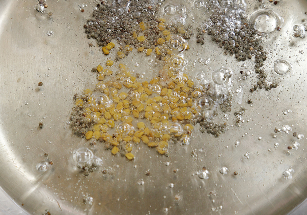 [２]煮出し用スパイスを油で温める アチャールソースを作る。鍋に油とマスタードシードを入れ、中火で温める。パチパチとスパイスが弾けてきたらフェヌグリークシードを加える。 POINT：焦がさないように冷たい油から始める