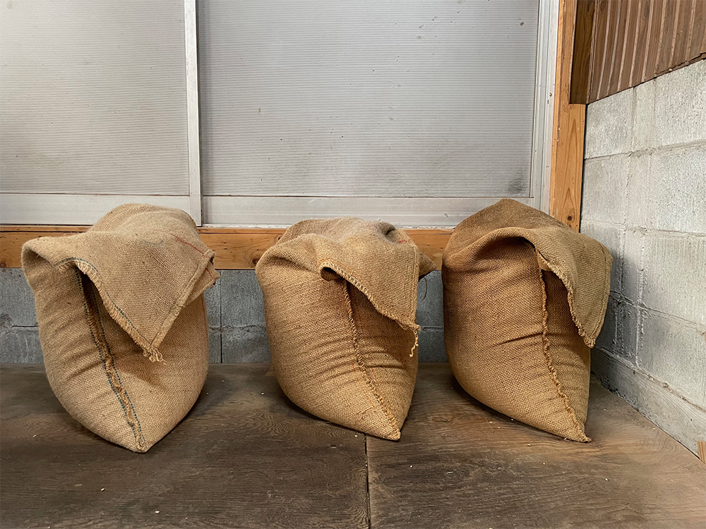 ３．冷ましてから精米 炒った籾を麻袋に入れて２日間かけて完全に冷ます。完全に冷めてから精米する。 POINT:通気性の良い麻袋に入れて水蒸気を出しながら冷ますことで、均一に冷めていき、かつ、虫がつきにくくなる。