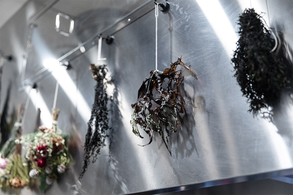 塩蔵、乾燥、発酵など、様々な加工法を試してみる。