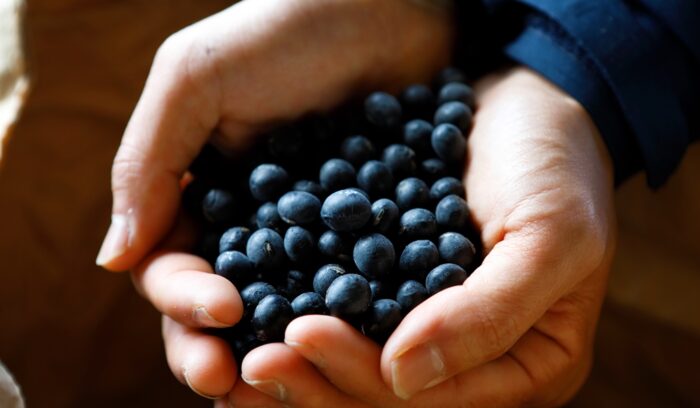 オルタナティブな農業の情報をnoteで発信。