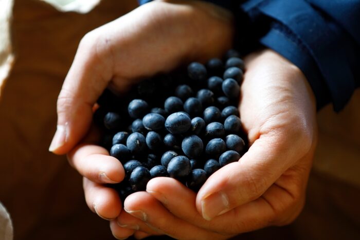 オルタナティブな農業の情報をnoteで発信。