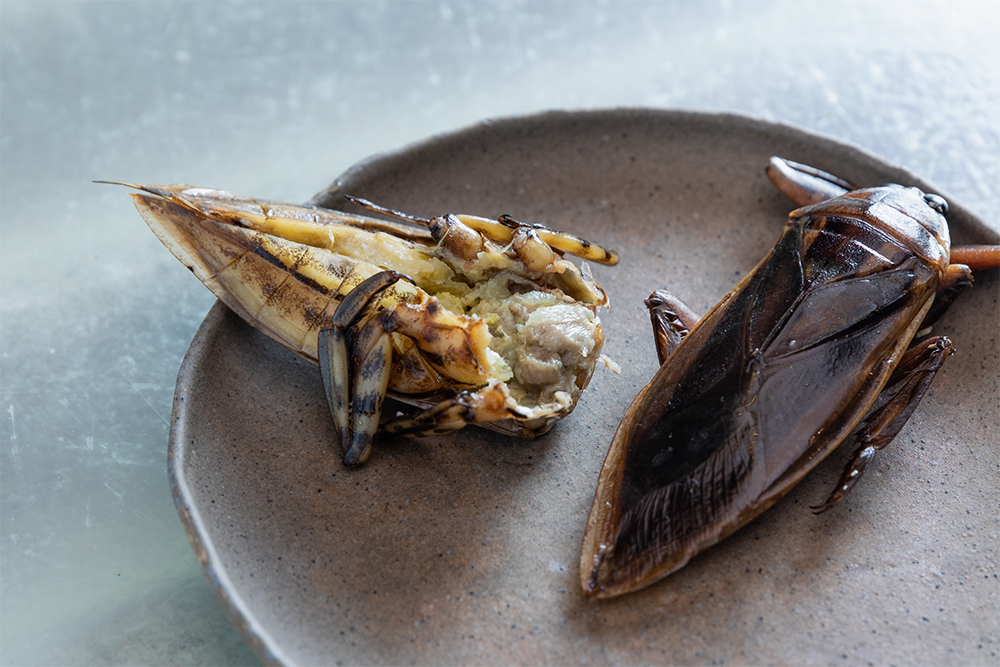 タガメは洋梨の香りがする。外観からは想像もつかない甘やかでフェミニンな香り。