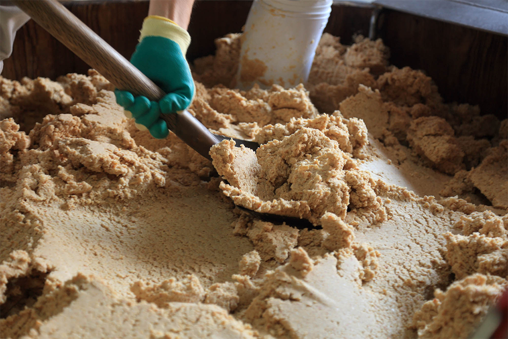 蒸し大豆、米麹、塩を混ぜた味噌種。白味噌、赤味噌共に塩分は12％。麹歩合は７～10割。