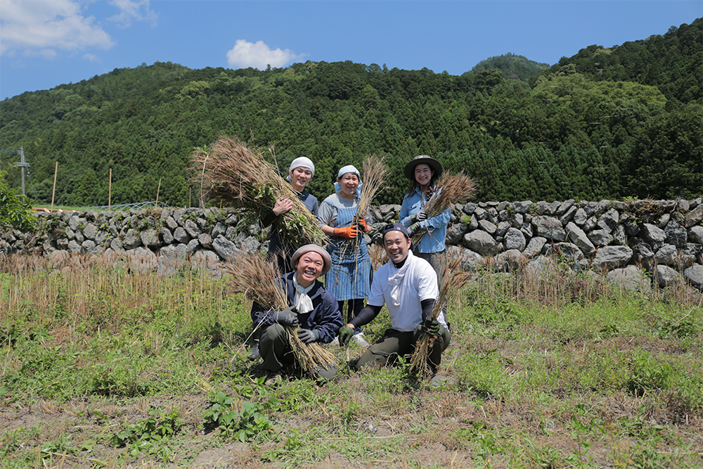 フードハブ・プロジェクトの小麦栽培は、初年度150kgだった在来小麦の収穫量が、2021年には1,105kgまで増えた。