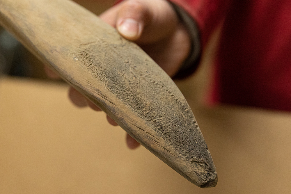 タイコウが扱うのは基本的に近海一本釣り。「皮目のちりめんじわは脂ののったカツオの証」。煮る工程で脂が落ちて皮にしわがよった跡だそうだ。