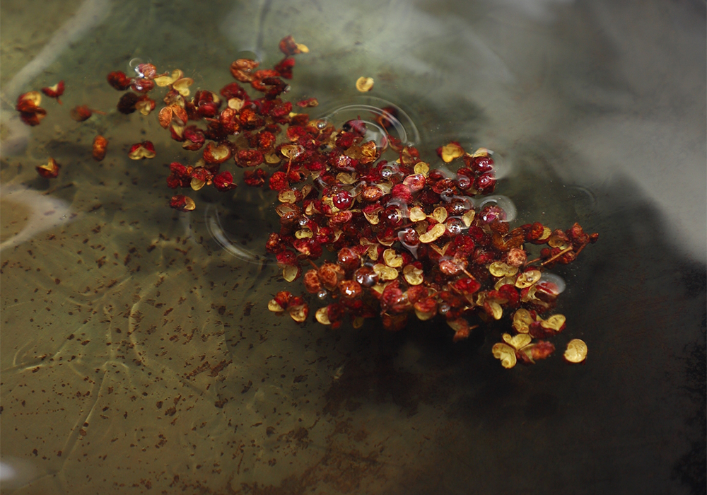 鍋に米油と花椒を入れて熱する。花椒が少し色づいて香りがふんわり立ったら花椒を取り除く。 ［３］軽く揚げる