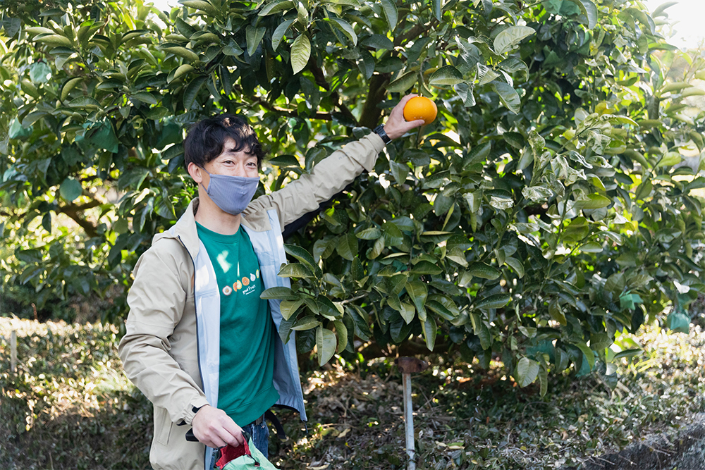 「まつばら農園」の松原さん。はっさくの袋がけを外して、もぎたてを試食。