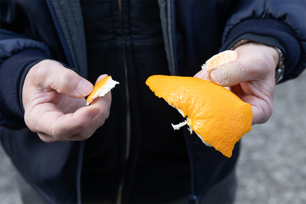 樹上完熟はっさくは、果皮も美しい。農薬は、通常の６割程度に留めているという。