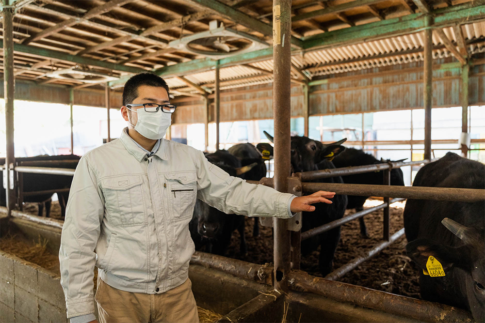 西岡将彦さん。祖父の代から60年続く「西岡畜産」の後継者。同世代の肥育農家とも情報を共有し、熊野牛全体のレベルアップを目指す。