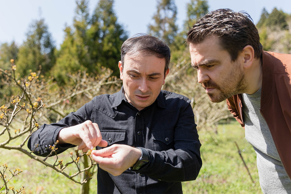 山椒の「シトラス系の香りが大好き。でも、実際の木を見るのは初めて」と、興味深く枝に見入る両シェフ。