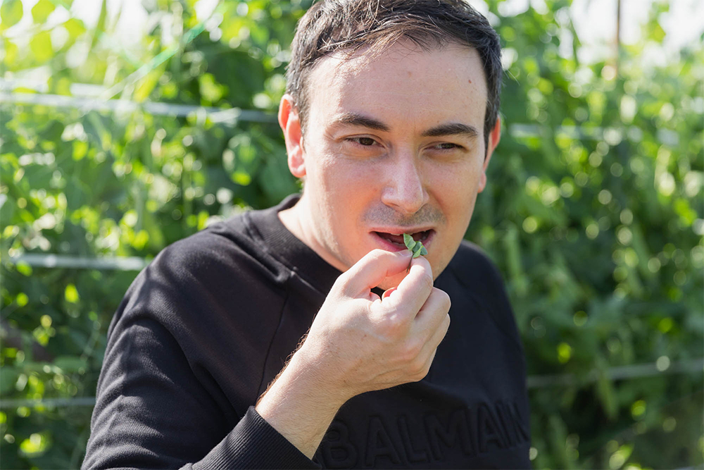 豆はもちろん、さやも脇芽も生でかじって味わいをしっかり検証。「さやにも十分な甘味があるので、バーミックスでピュレにしても」とイメージが膨らむ。