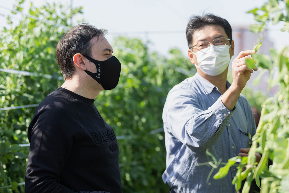 土壌についての説明を受けながら、「ワインのブドウ畑の話を聞いているよう」と感慨深げな仏伊出身のシェフ２人。生産者の川西さんを交え、うすいえんどうのポテンシャルを引き出す料理像についても話が弾む。