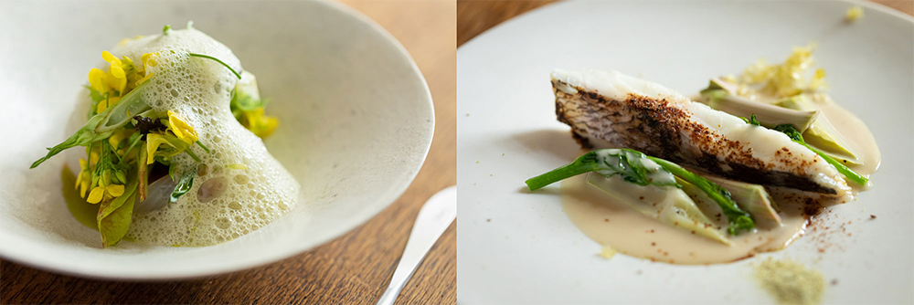 イタドリやウルイなど今が旬の山菜、味わいのよく似たチコリのほろ苦味が、春獲れの海老や桜鯛特有のやわらかい甘味のアクセントに。左[新玉ねぎ　うるい　海老]、右[イタドリ　桜鯛　チコリ]
