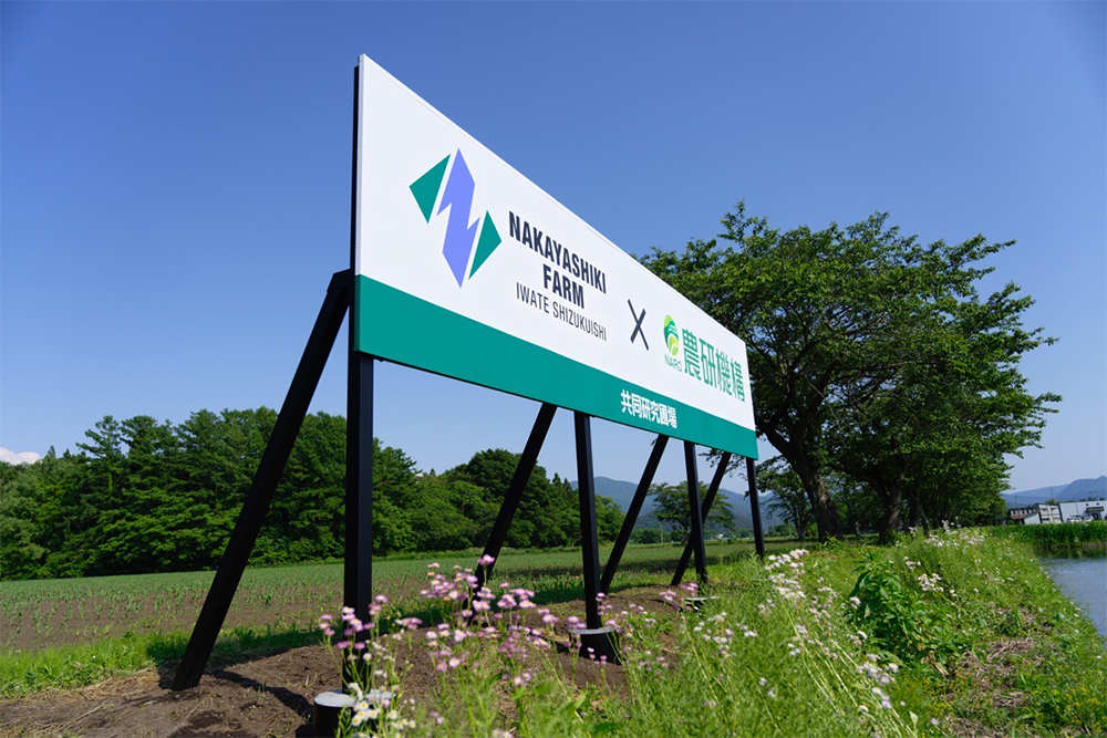 中屋敷ファームと東北農研の共同研究圃場。無農薬でエサとしての栄養価の高い牧草を育てる実証実験が進められている。