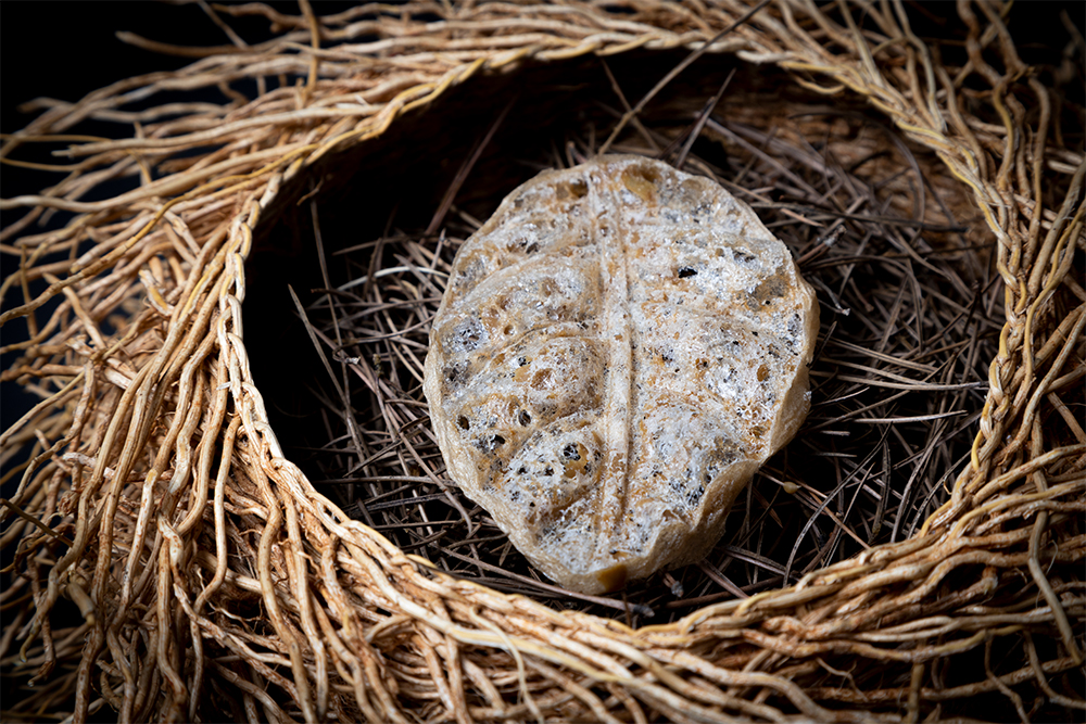 もち米粉をトランペット茸のエキスで練って葉型に詰めてレンジ調理。フリーズドライのセップ茸とバターのソースを挟んでいる。