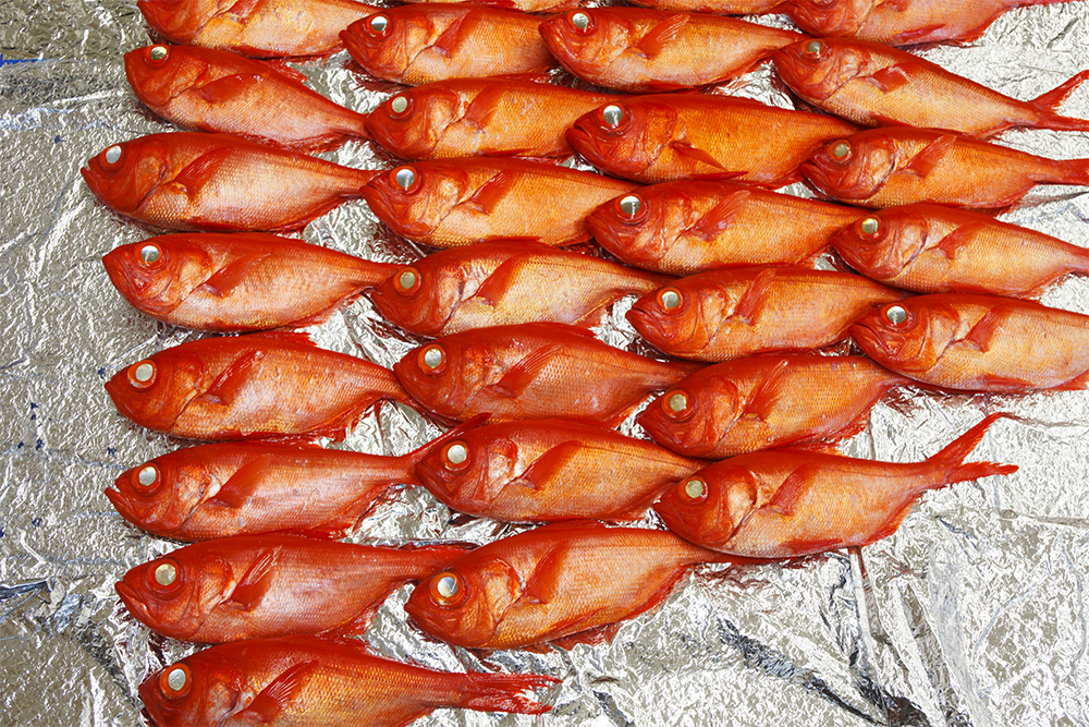 仕入れた中から中堅スタッフが上物を選り分け、床に敷いたシートに並べる。