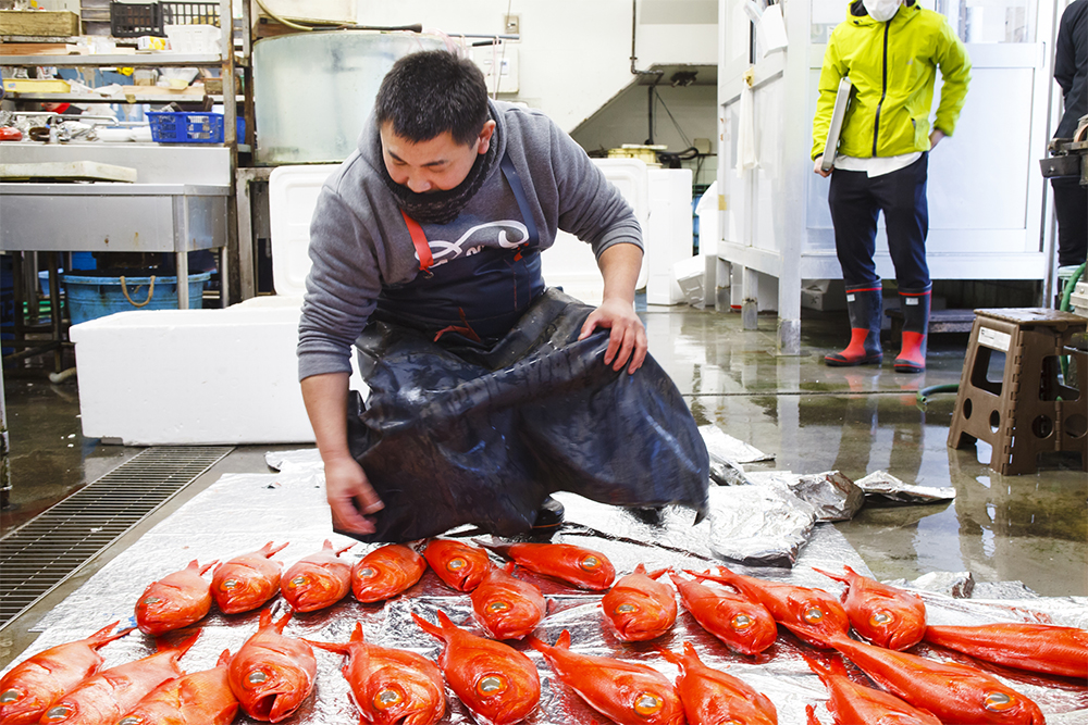 前田さんが一尾ずつ料理人と魚体をマッチングし、それぞれに合わせた下処理を施す。