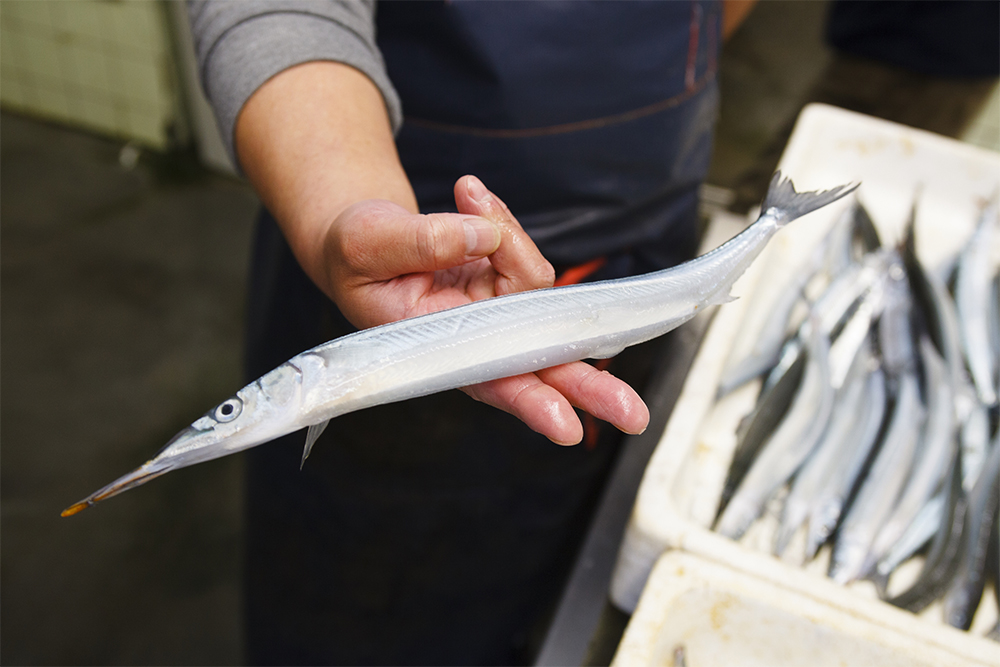 サヨリも指で持ってもしならない鮮度の良さ。上のキンメダイのほうが上物。