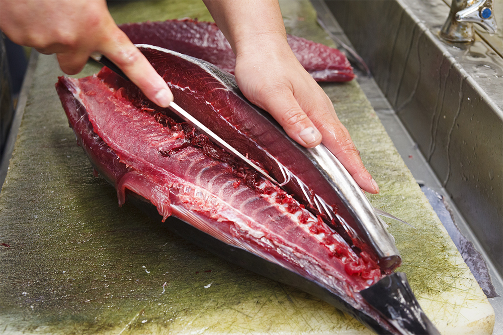 カツオの行き先がすべて決まったら即おろして1℃の冷蔵庫で芯まで冷やし込む.