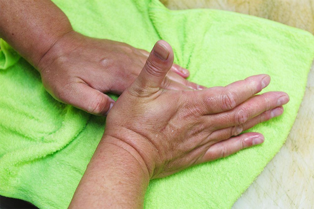 タオルで毛細血管の血を絞り出すように押さえる。ステンレスバッドにのせ１℃の冷蔵庫へ。