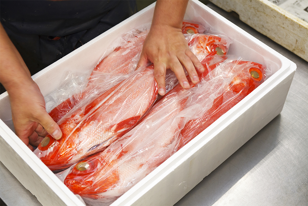 新聞紙、保冷シートを被せ、ビニールに包んだ魚を隙間なく詰める。