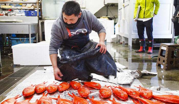 焼津「サスエ前田魚店」前田尚毅さんの１日