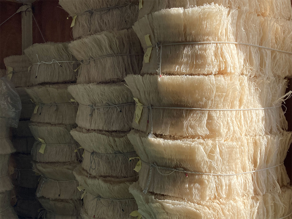 完成した寒天は、等級ごとにまとめられ出荷の時を待つ。