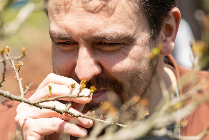 仏伊トップシェフが訪ねる　和歌山の美味を育てる人たち