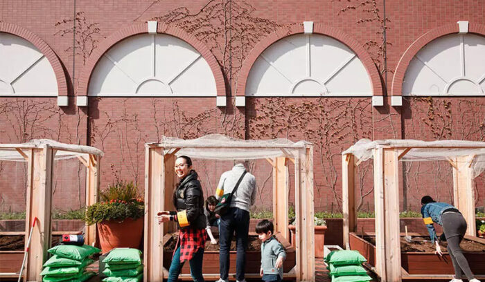 アーバンファーマーズクラブメンバーの種まきイベントに潜入！