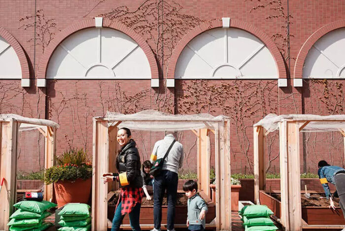 アーバンファーマーズクラブメンバーの種まきイベントに潜入！