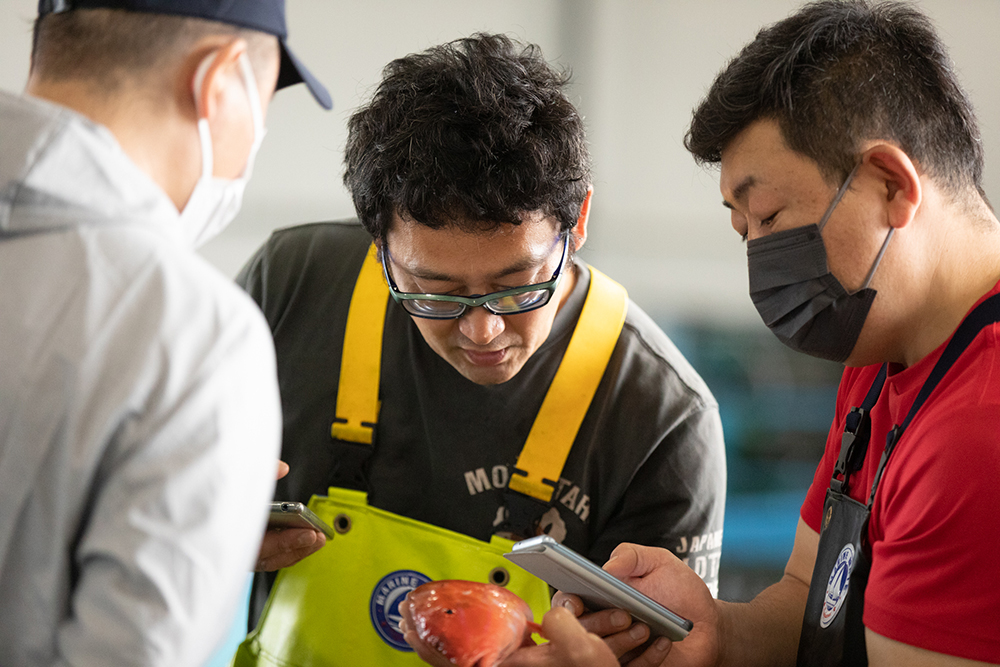 ヒメジの珍しい種が揚がっていた。図鑑とネットで調べる。「ミナベヒメジじゃないか？」